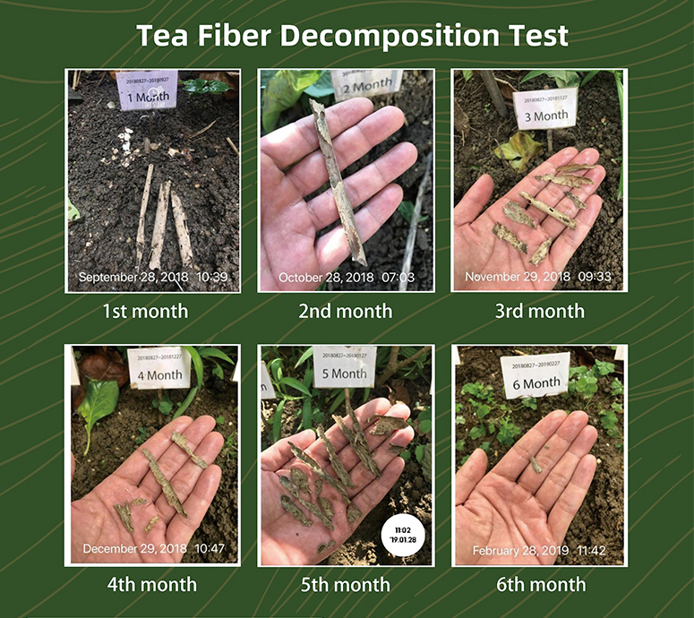 Buletedan Teknolojisi