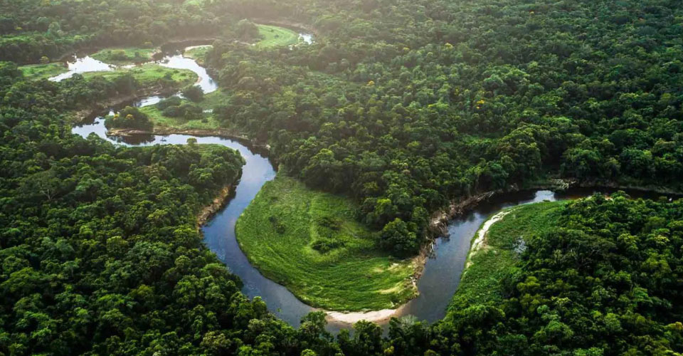 Buletedan Teknolojisi