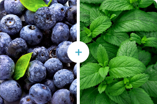 Buletedan Teknolojisi