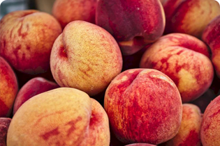 Buletedan Teknolojisi