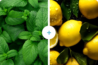 Buletedan Teknolojisi