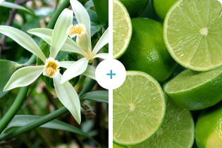 Buletedan Teknolojisi