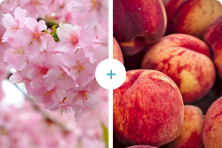 Buletedan Teknolojisi