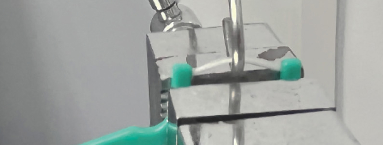 Buletedan Teknolojisi